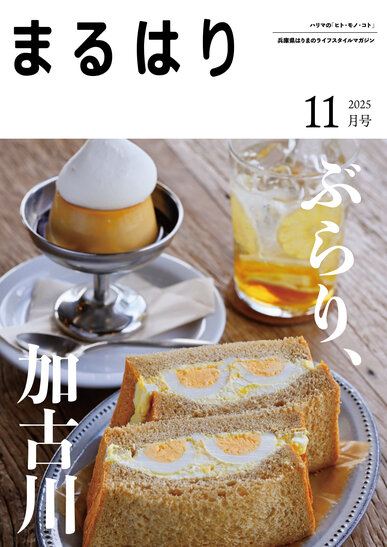 2025年11月号