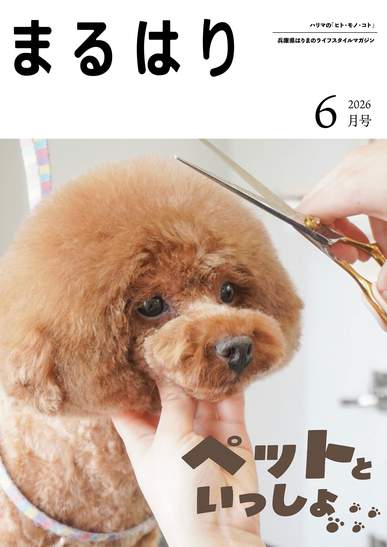 2026年6月号